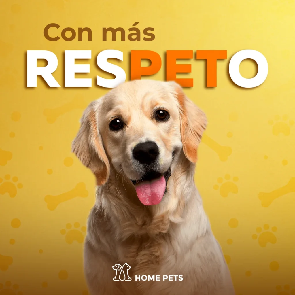 Mascota - Post
